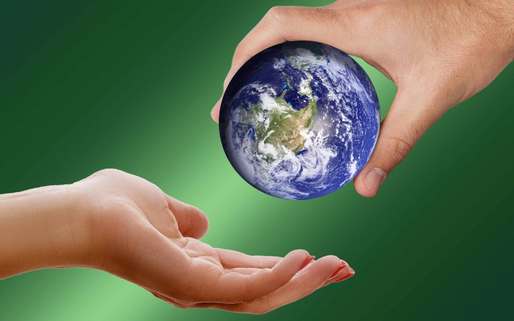 Green IT: So geht ressourcenschonende Informationstechnik
